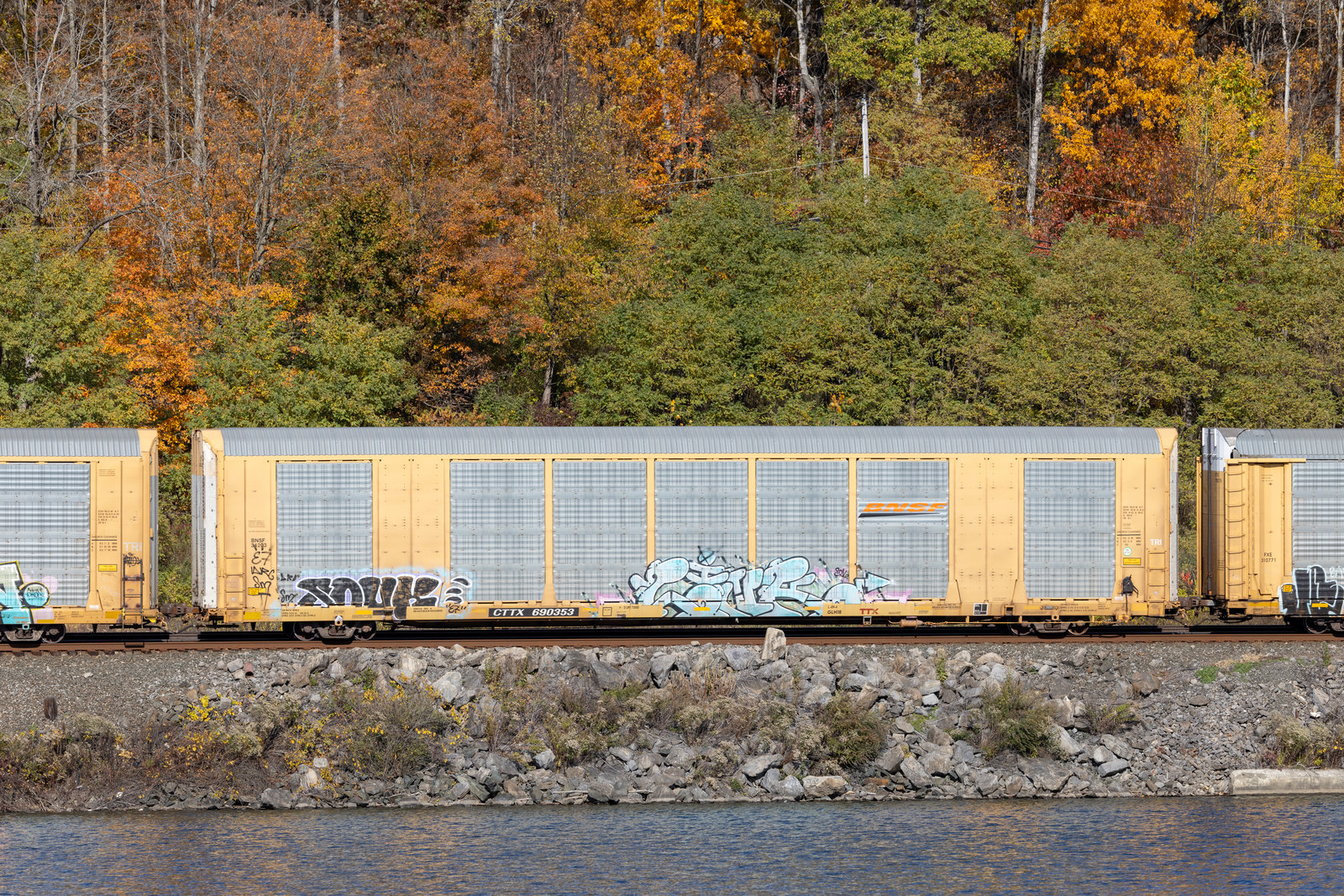 CTTX 690353