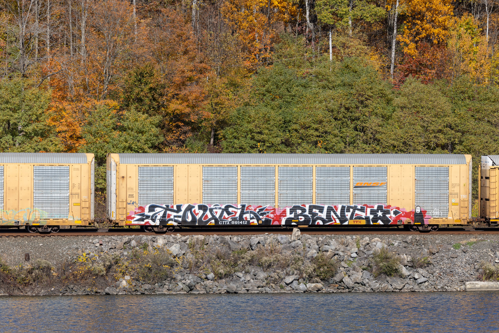 CTTX 691412