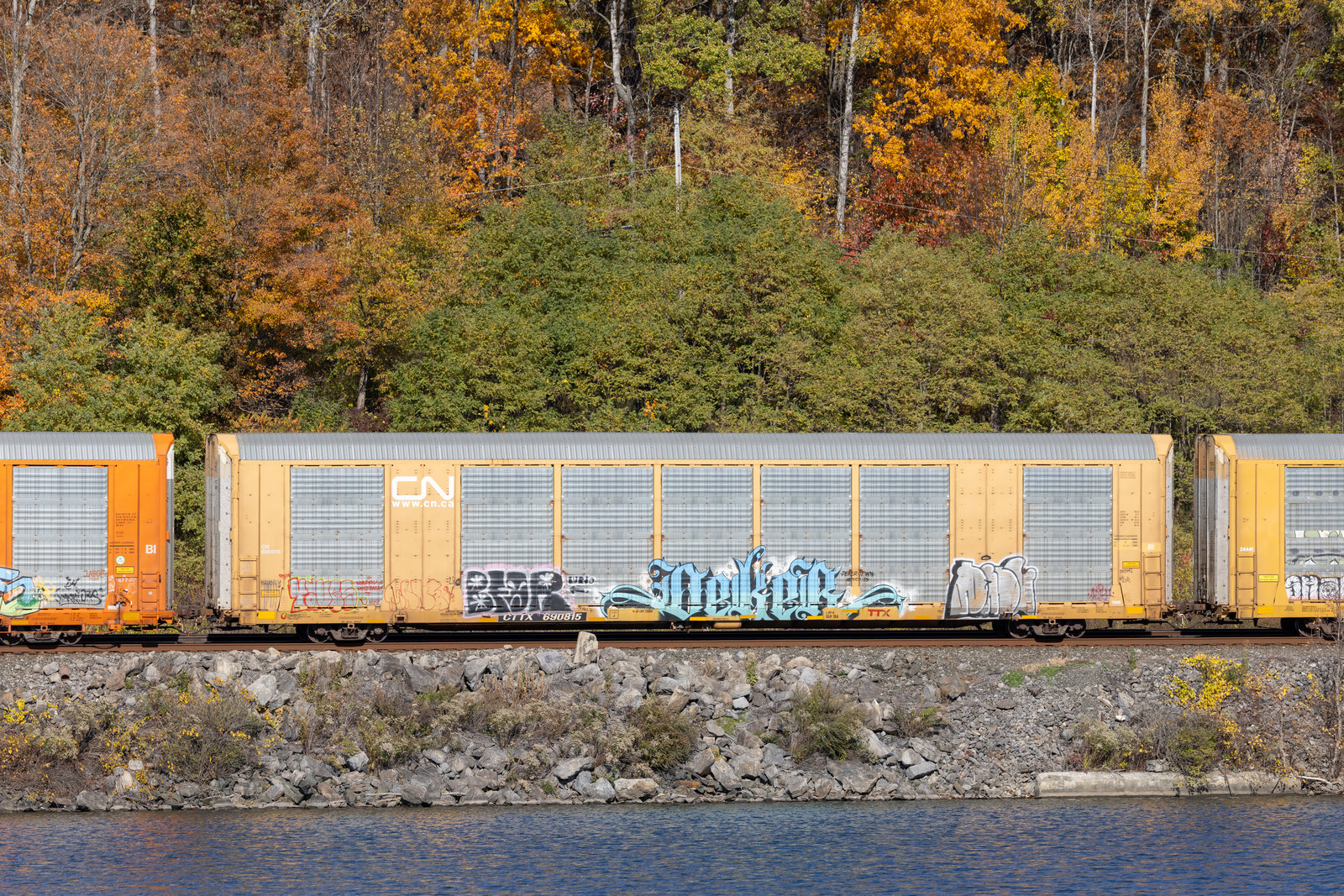 CTTX 690815
