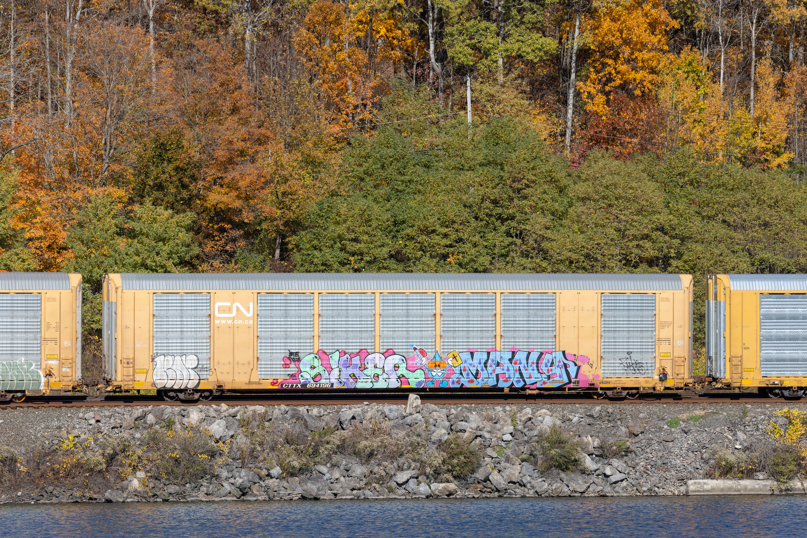 CTTX 694196