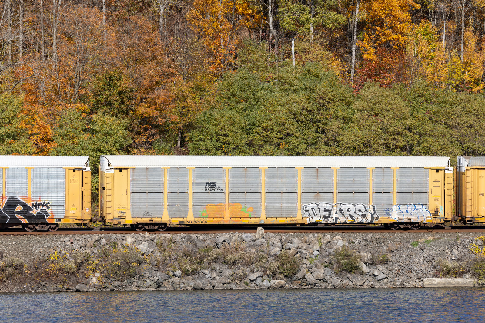 NS 171034