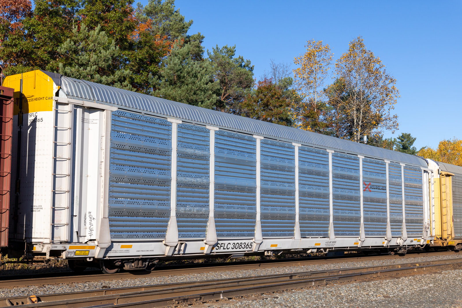 SFLX 308365