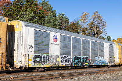 UP 801294