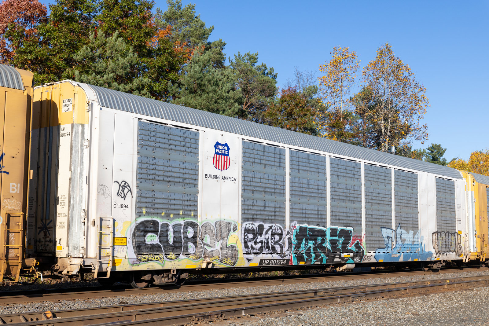 UP 801294