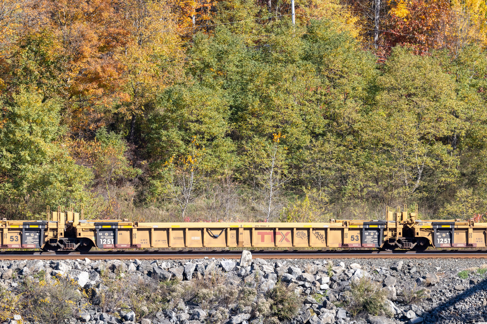 DTTX 791084C