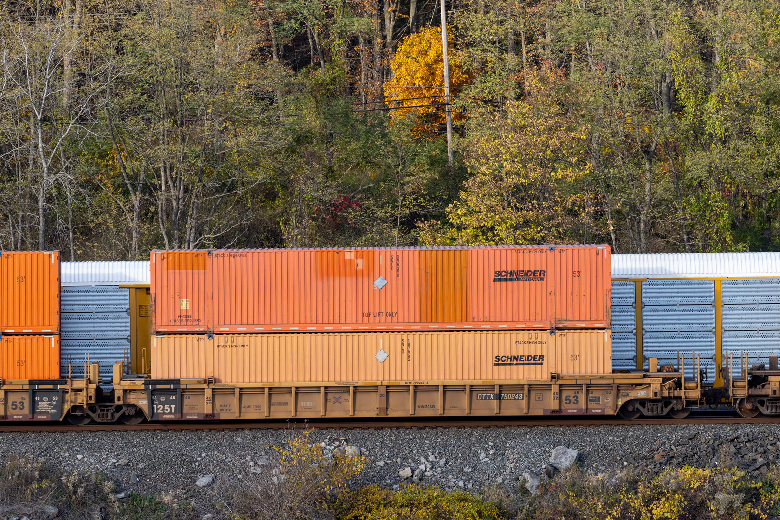 DTTX 790243B