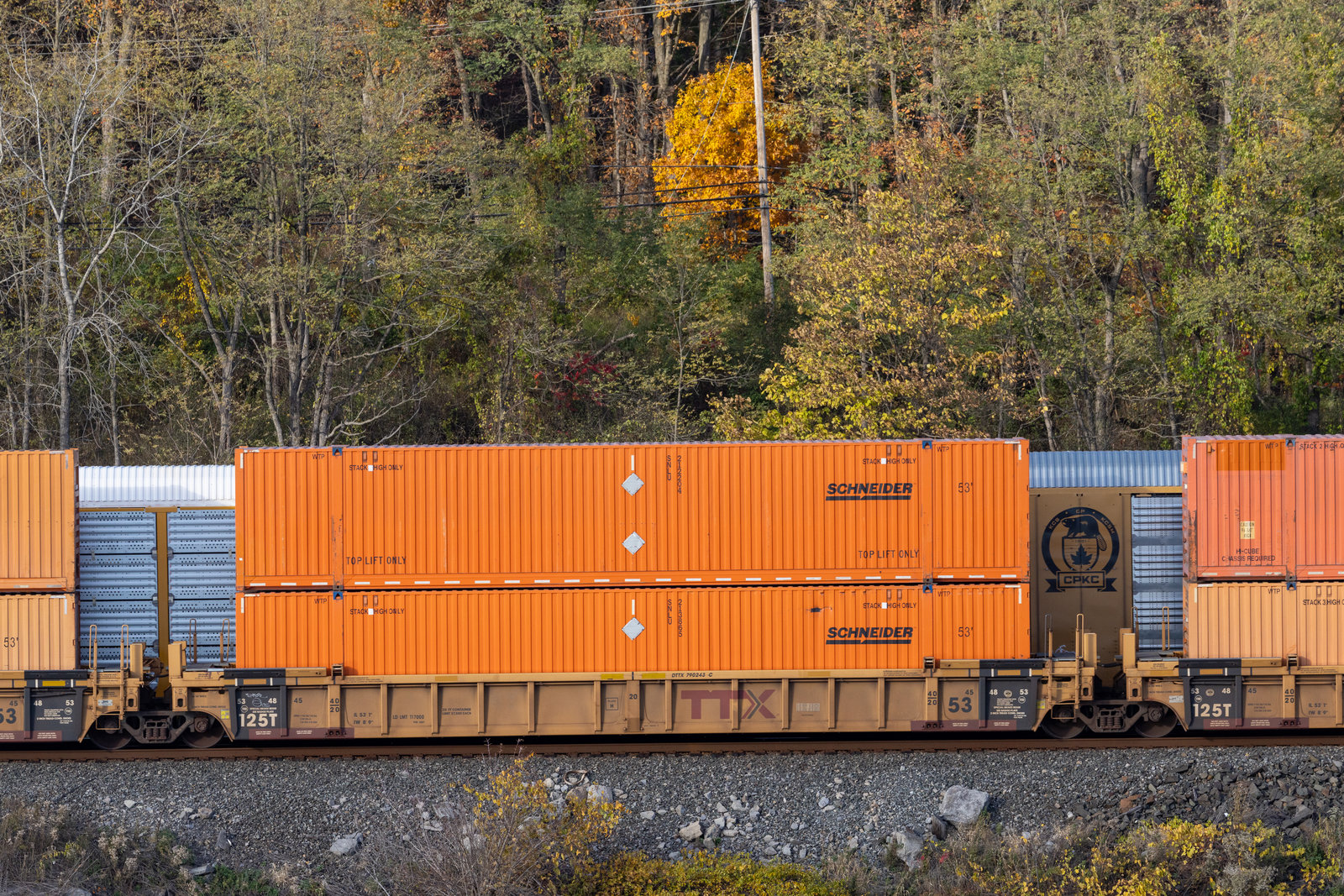 DTTX 790243C