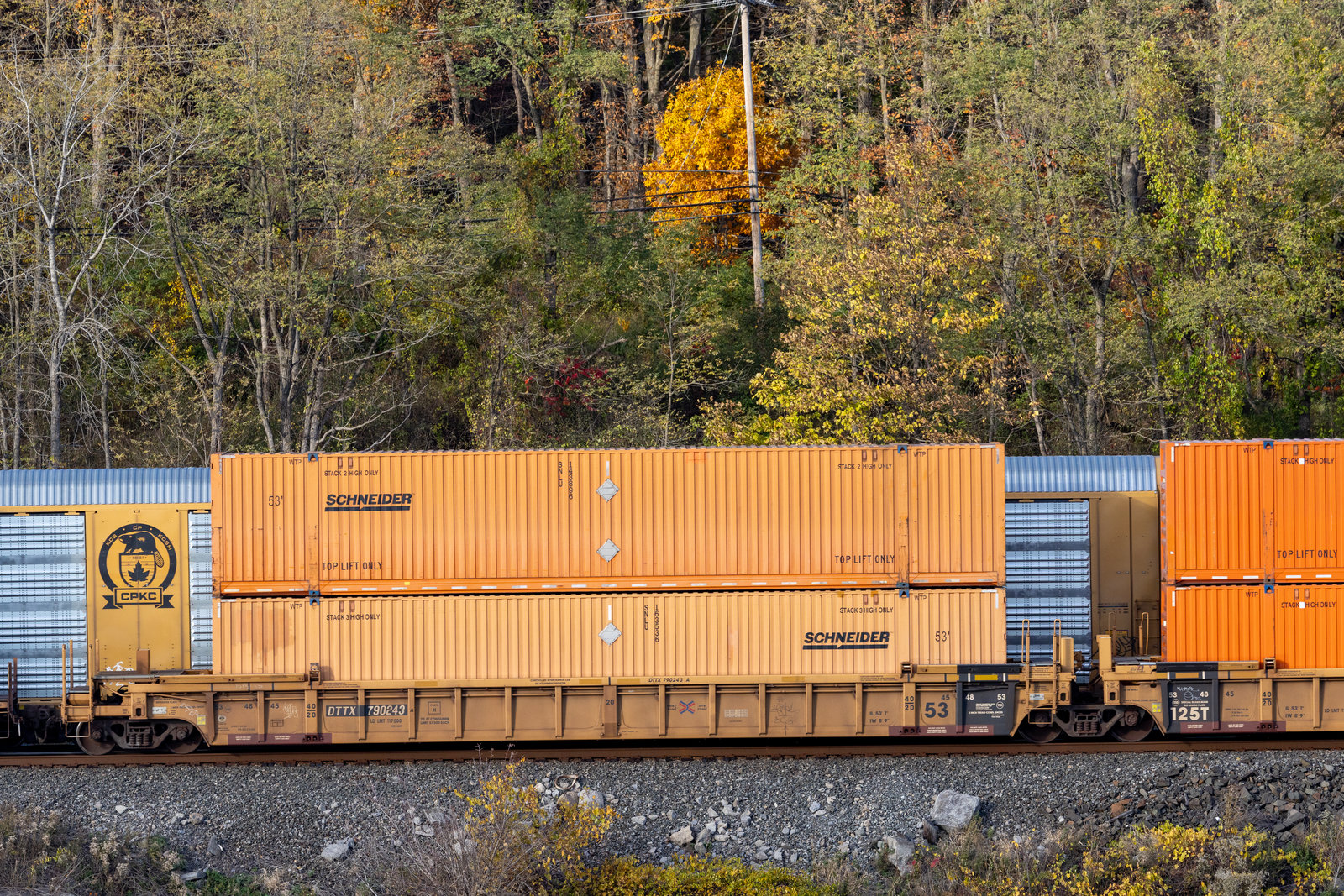 DTTX 790243A