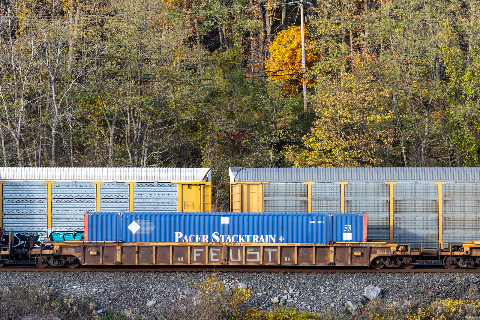 DTTX 621019A