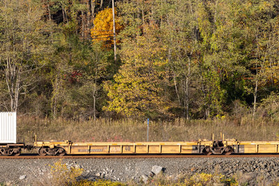 DTTX 400593B