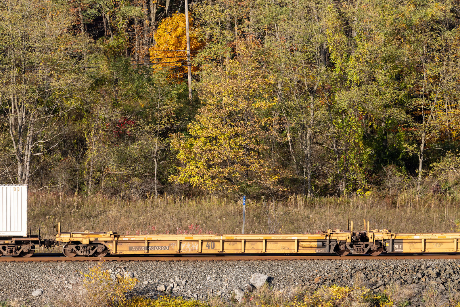 DTTX 400593B
