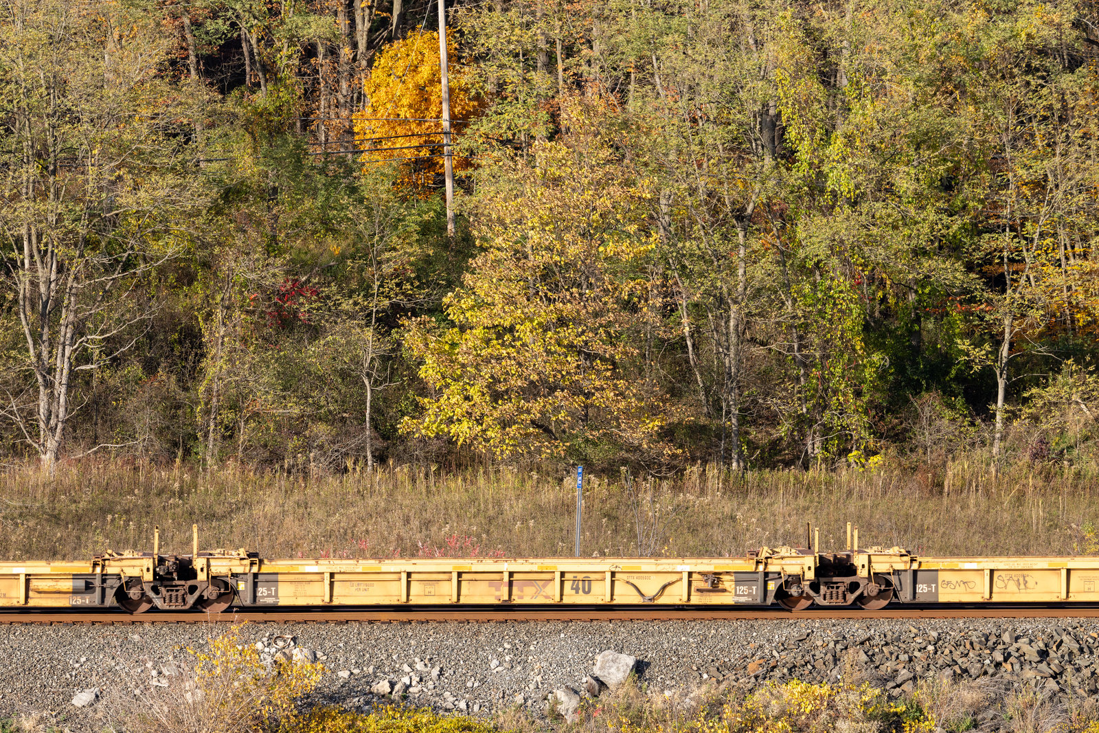 DTTX 400593C