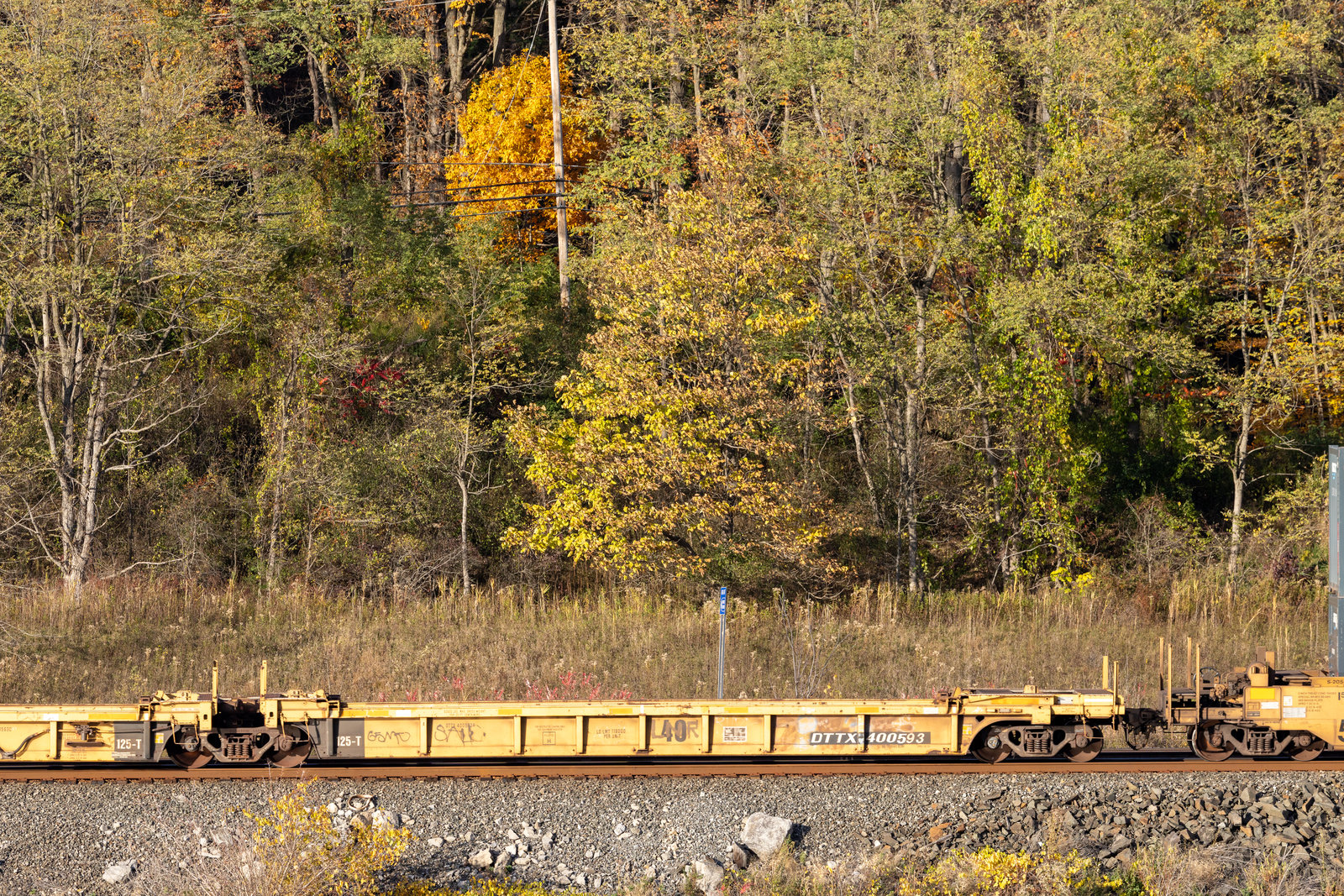 DTTX 400593A