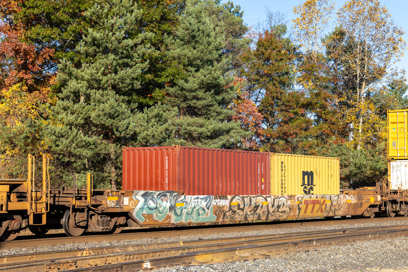 DTTX 475898
