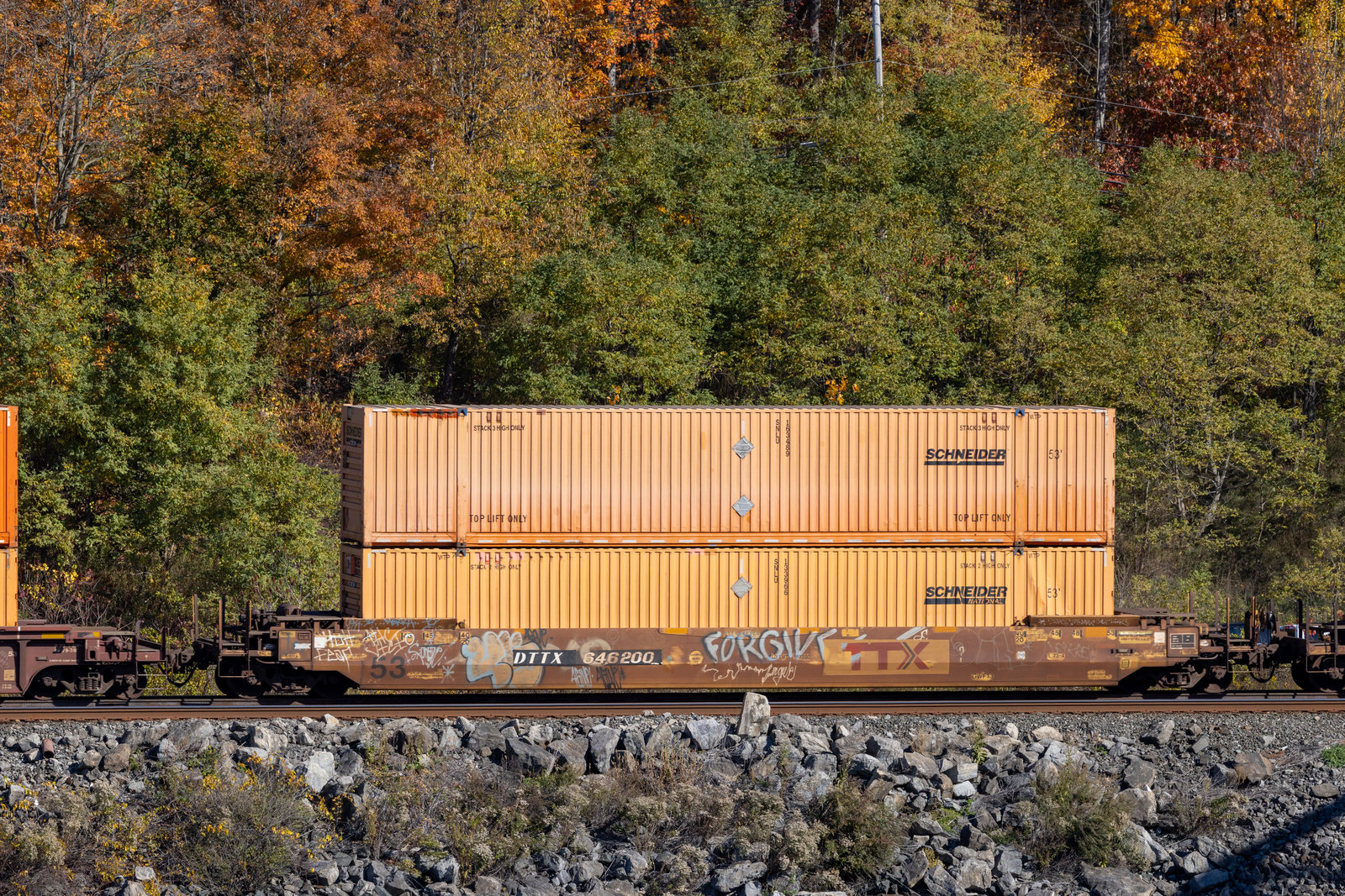 DTTX 646200