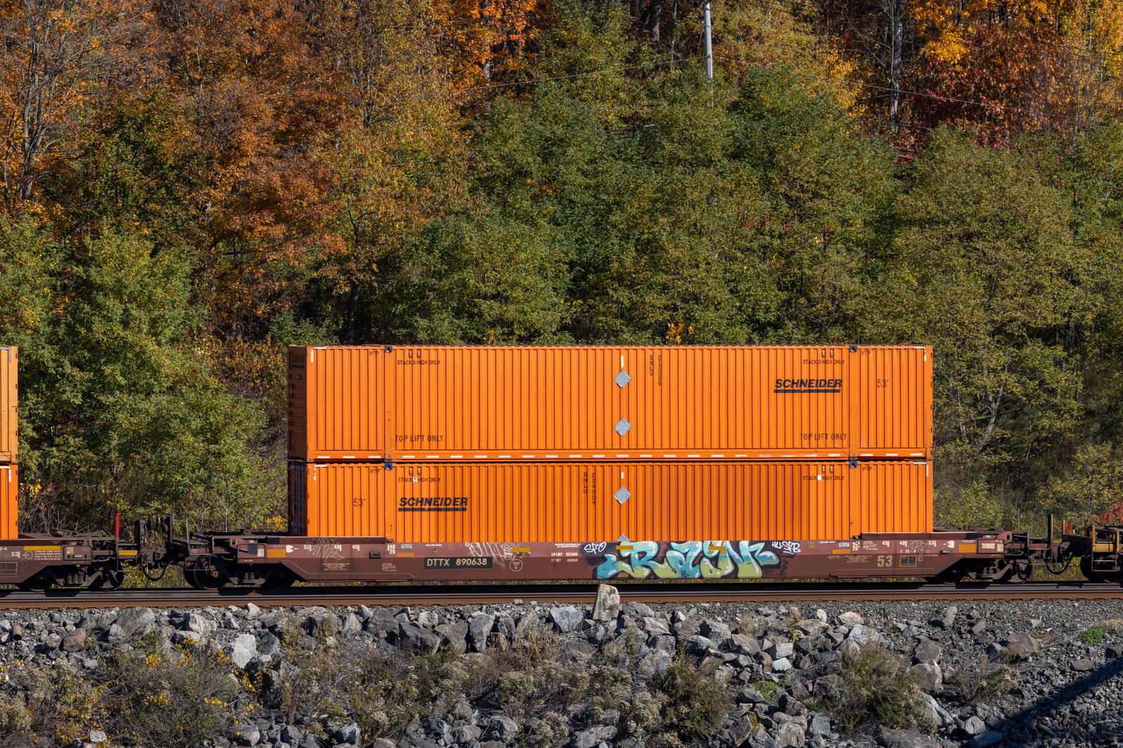 DTTX 890638
