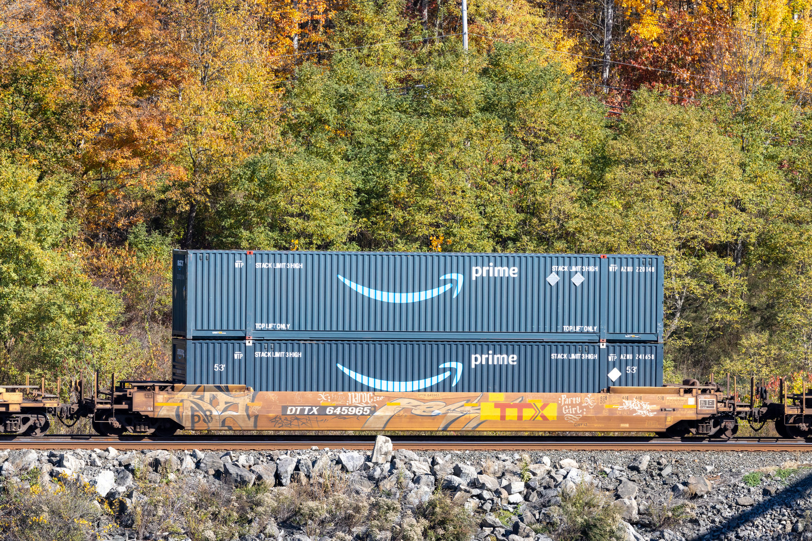 DTTX 645965