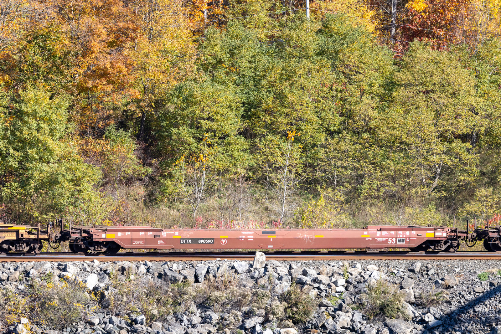 DTTX 890590