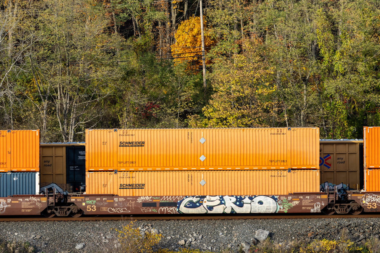 DTTX 894459C