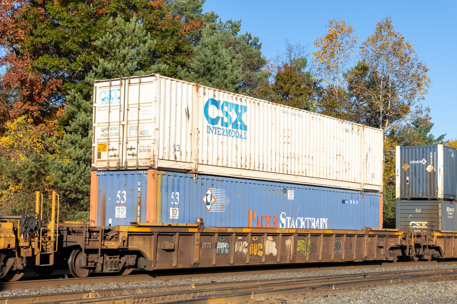 DTTX 655014