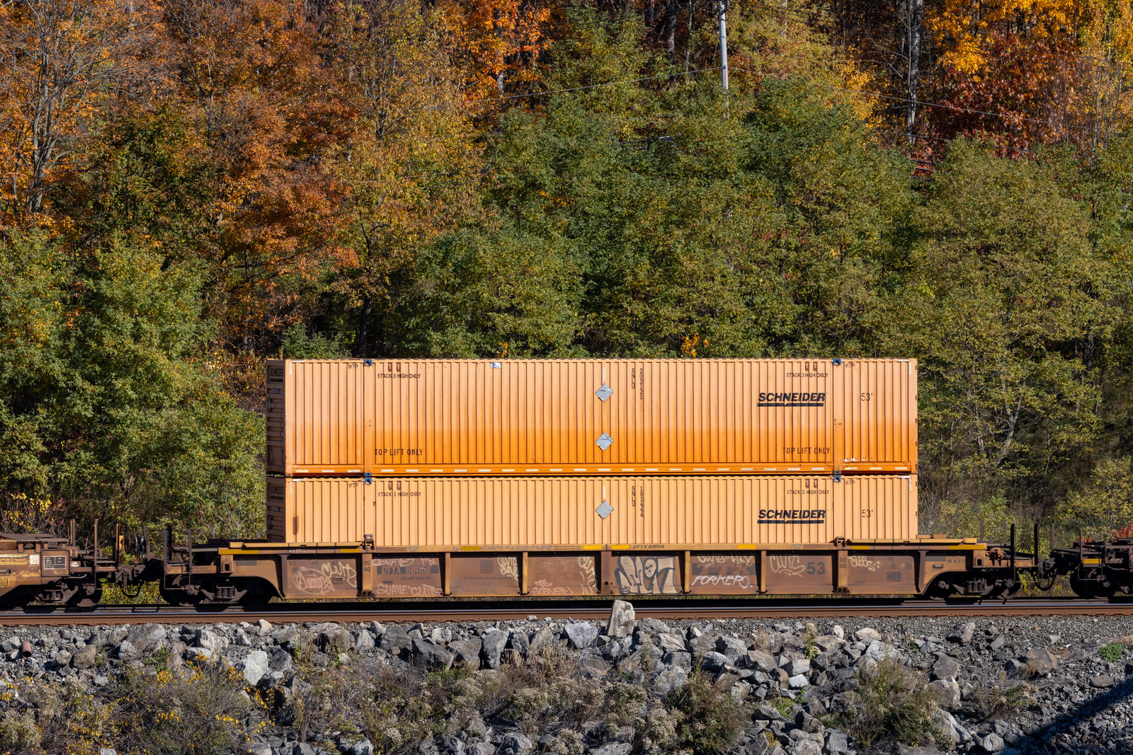 DTTX 681158