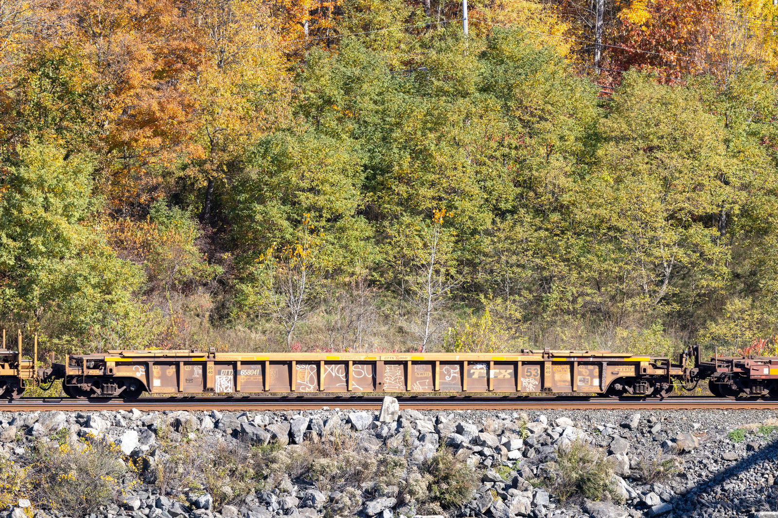 DTTX 658041