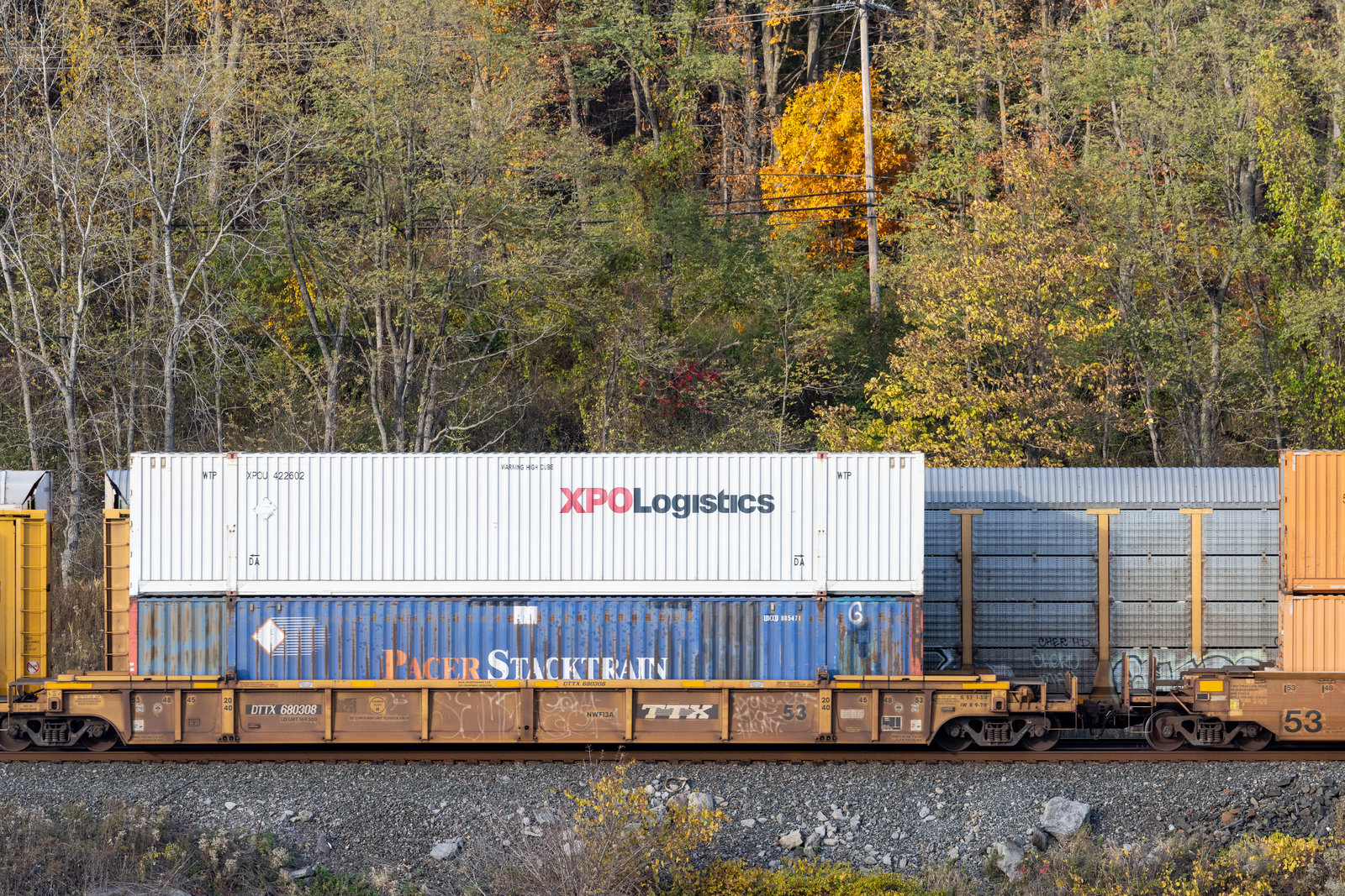 DTTX 680308