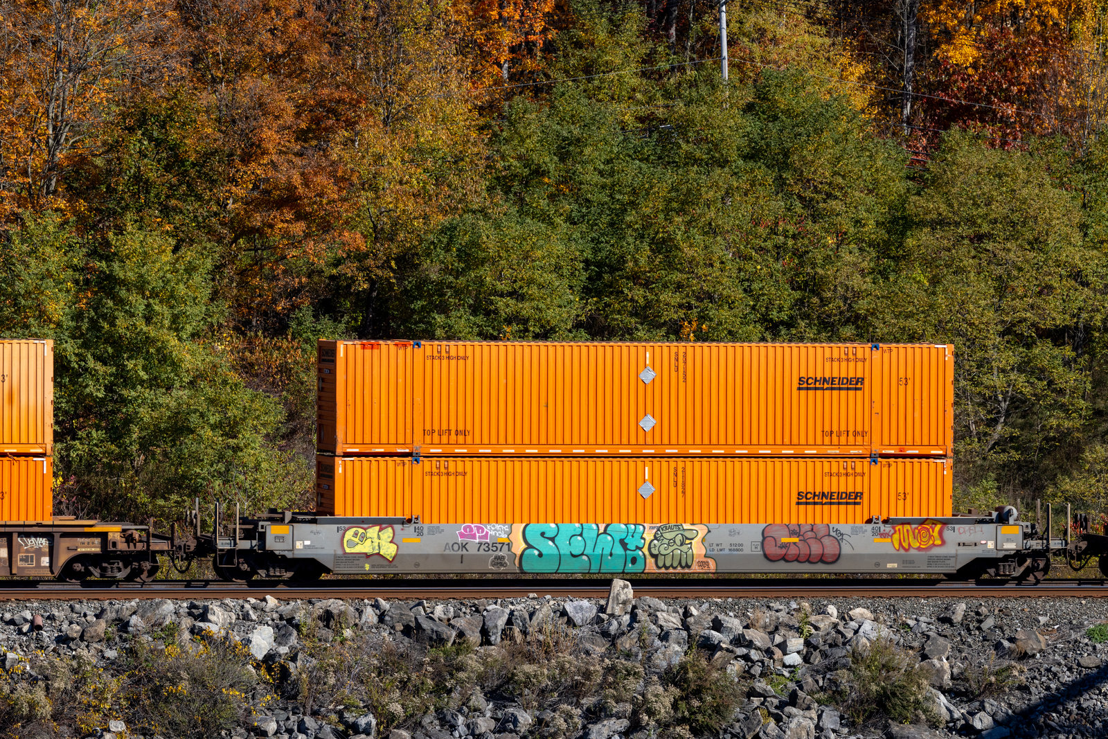 AOK 73571