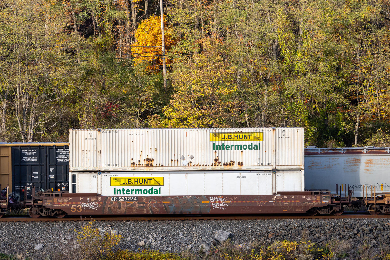 CP 527354