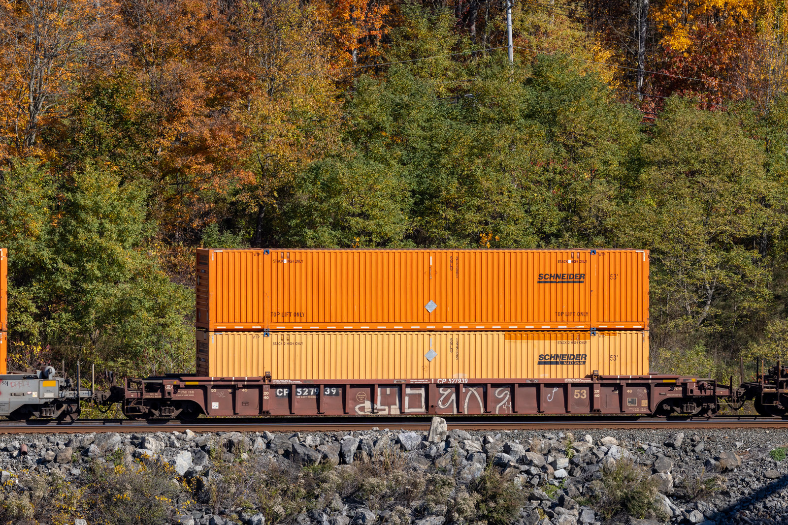 CP 527939