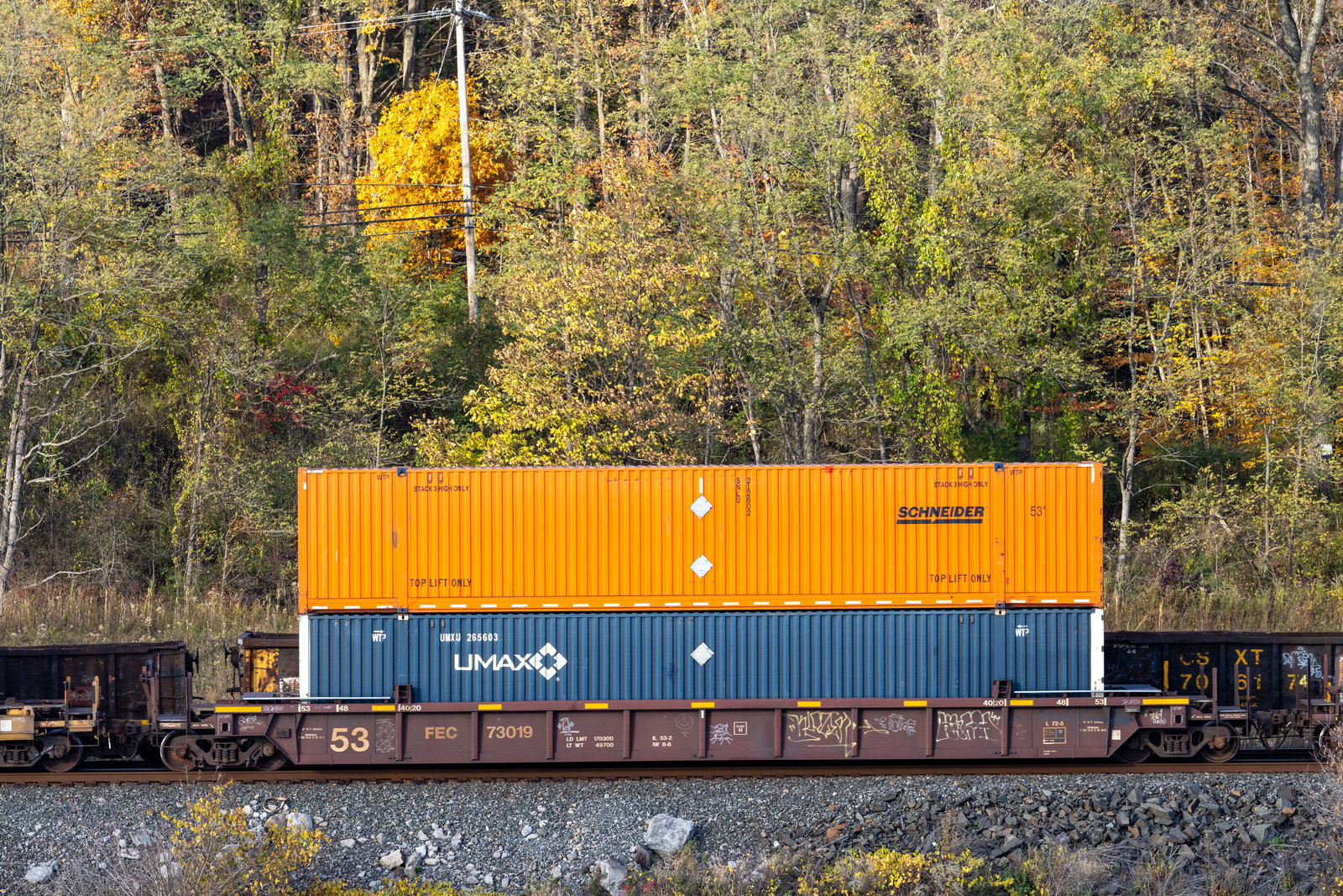FEC 73019