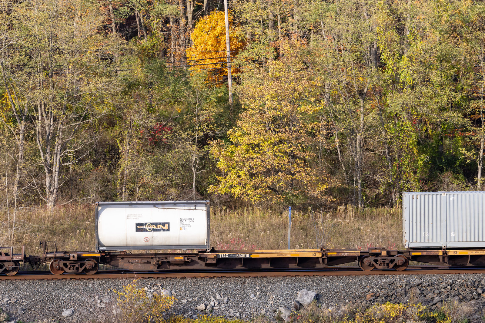 TTAX 653018A