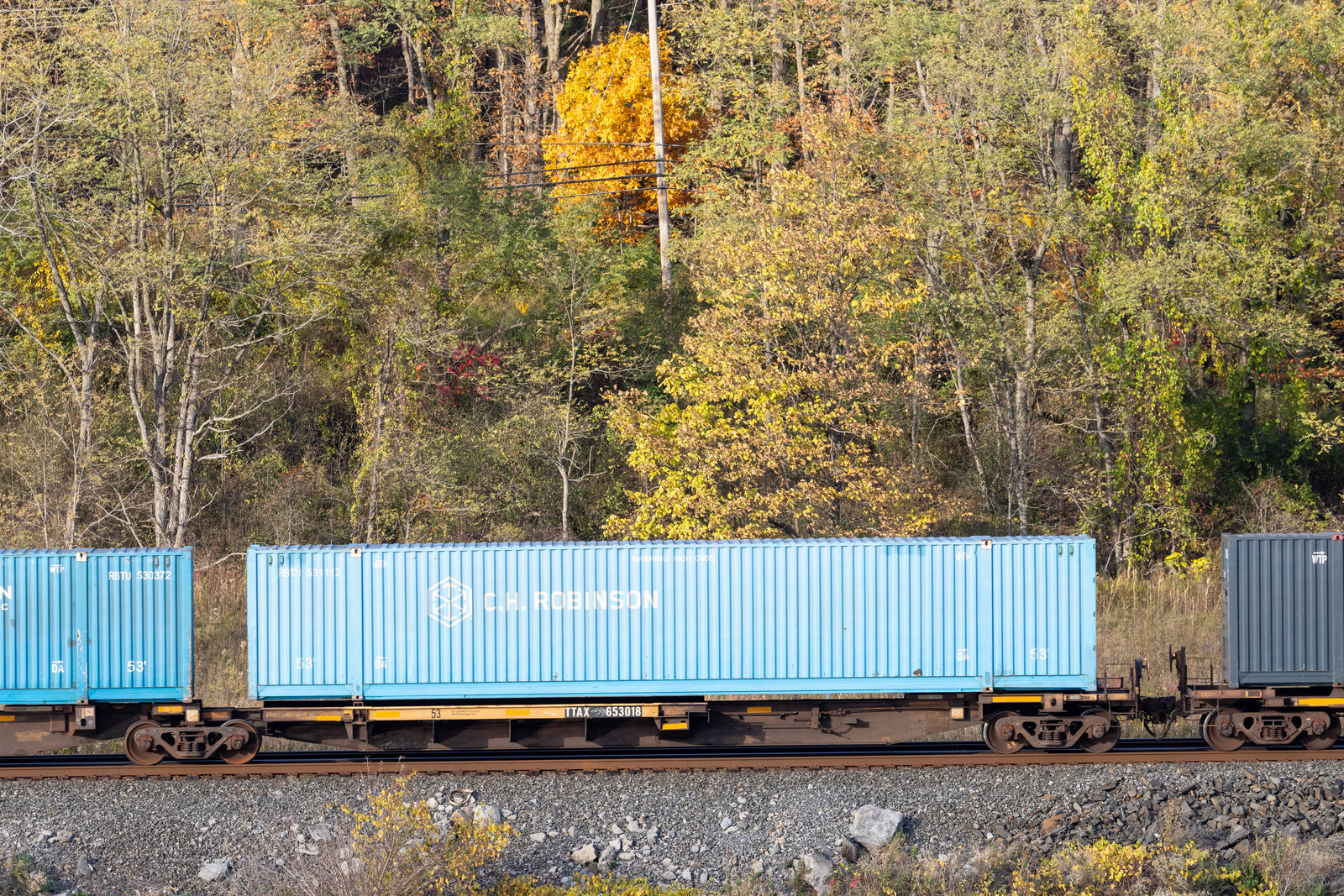 TTAX 653018B