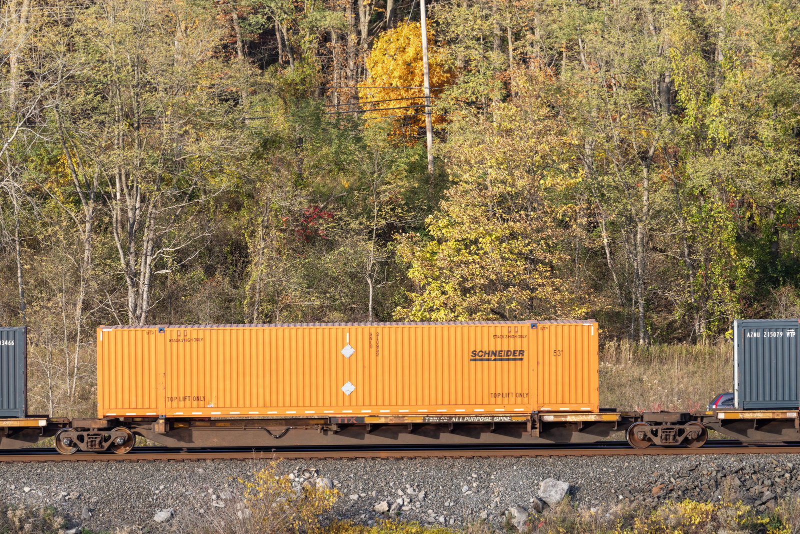 TTRX 370208C