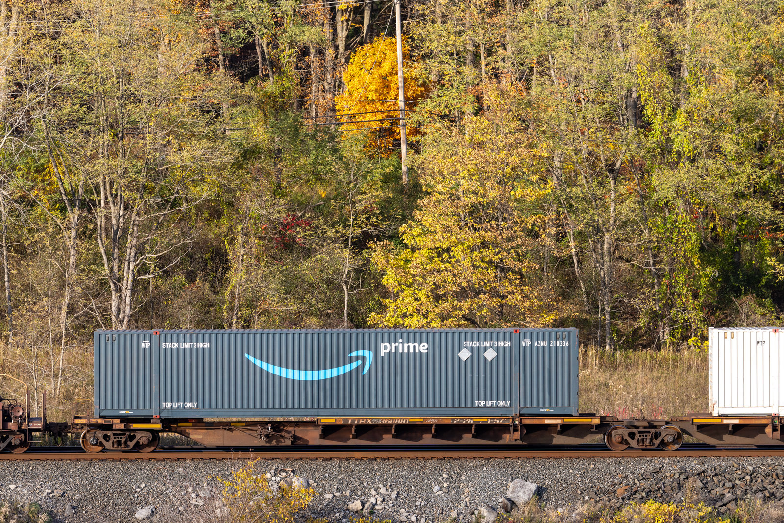 TTRX 360881A