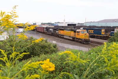 CSXT K138 @ Selkirk, NY
