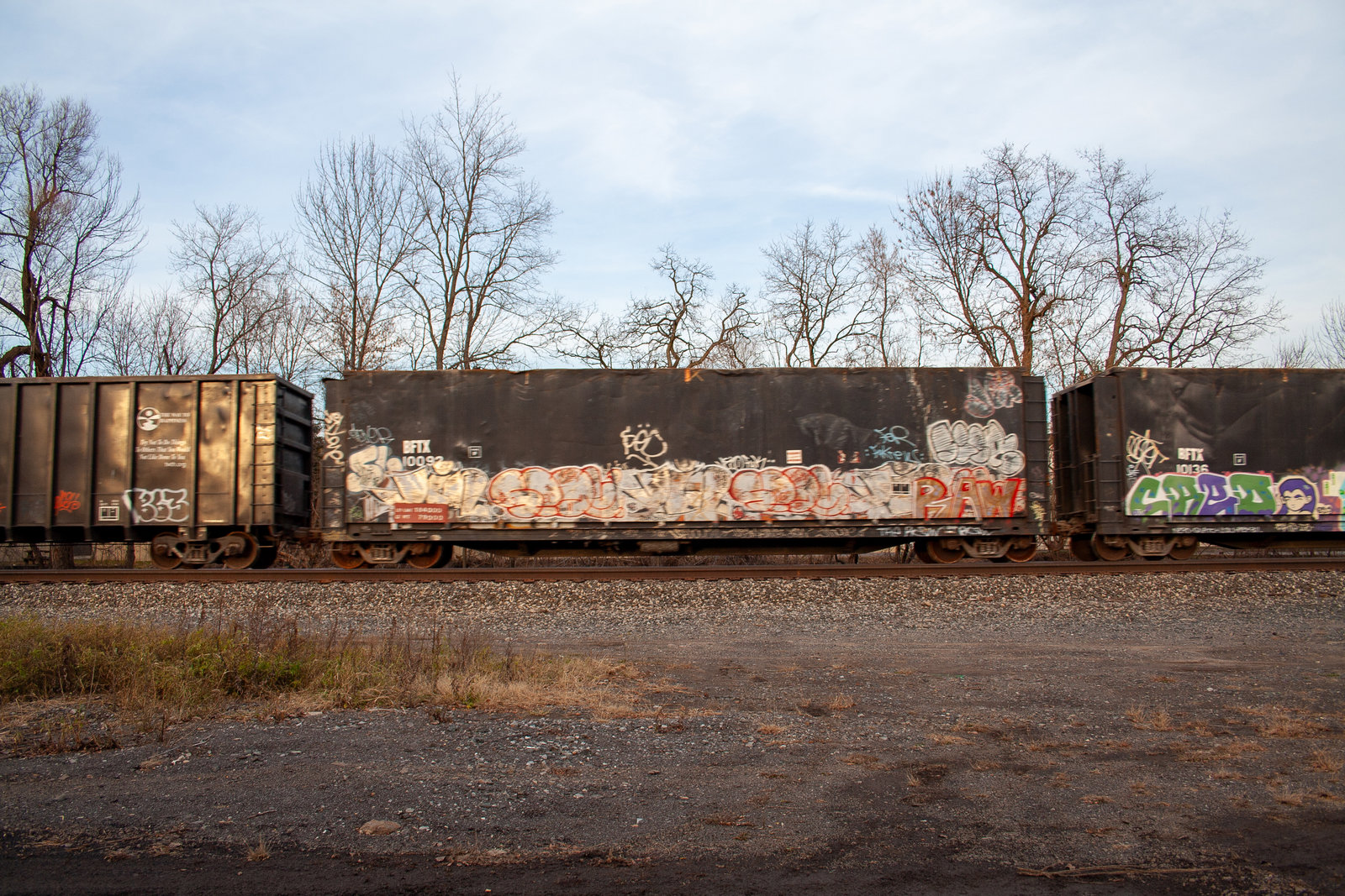 BFTX 10092