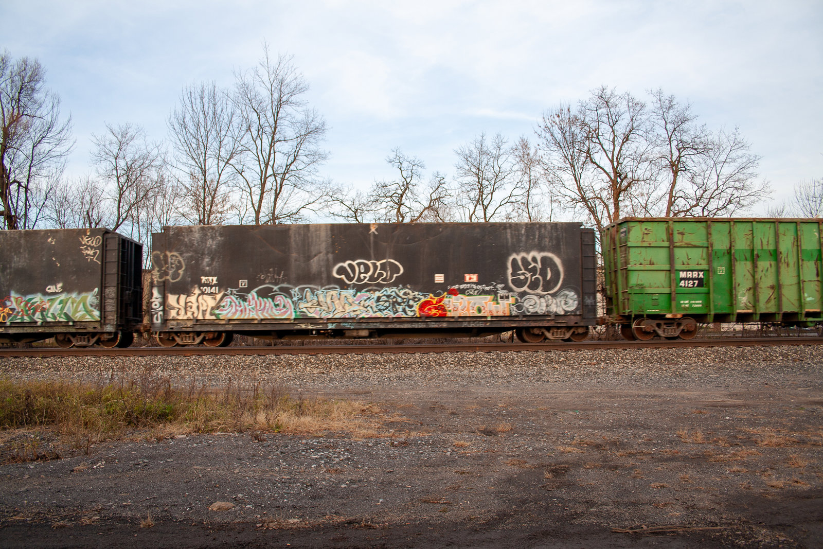 BFTX 10141