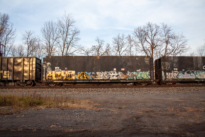 BFTX 10079