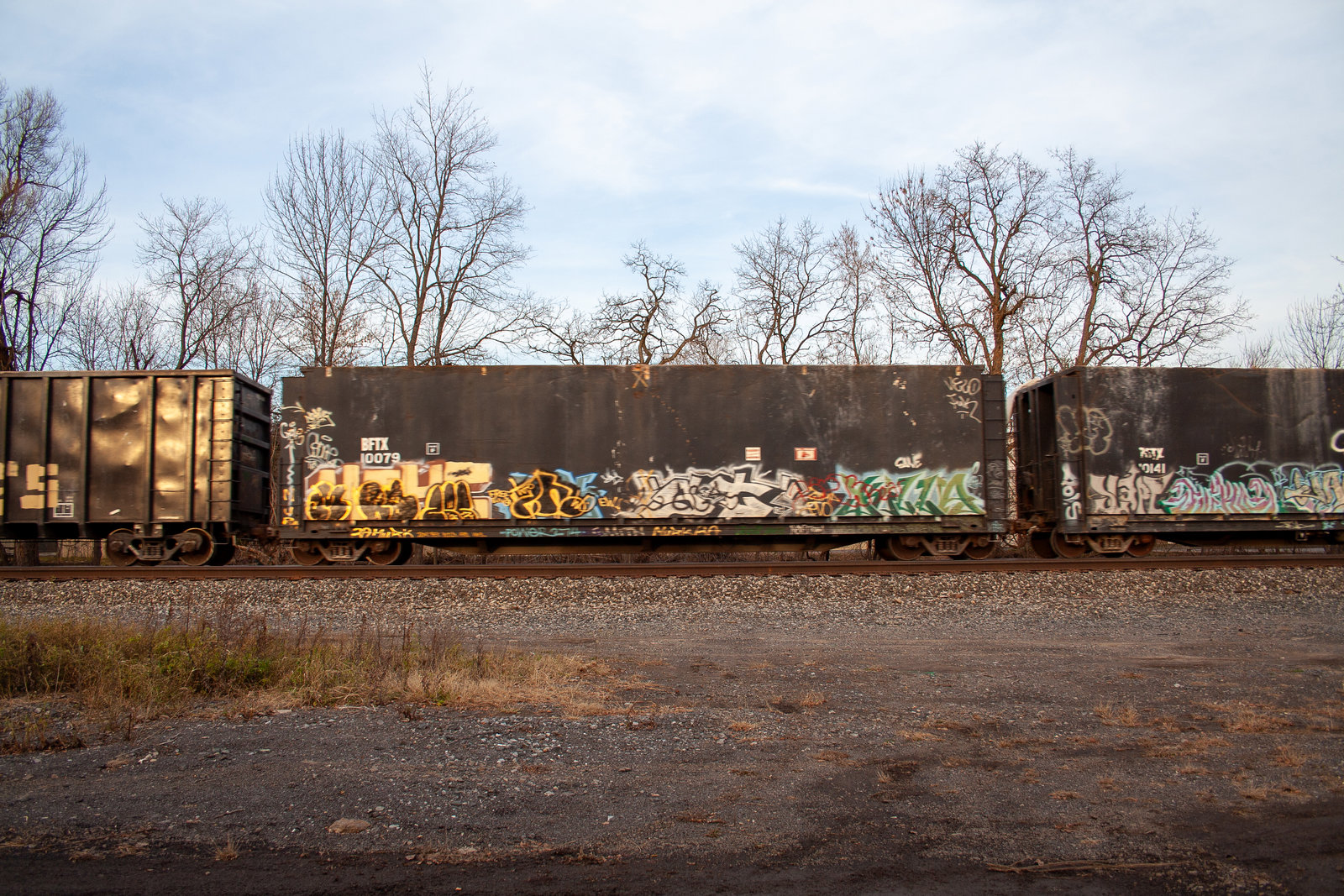 BFTX 10079
