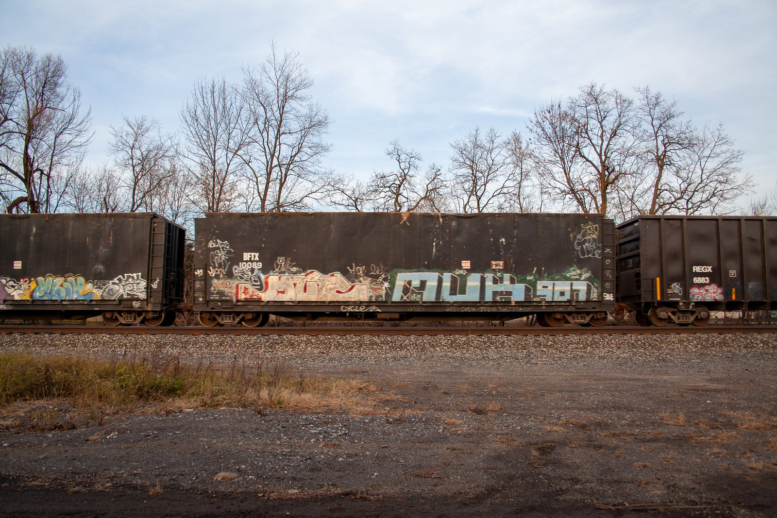BFTX 10089
