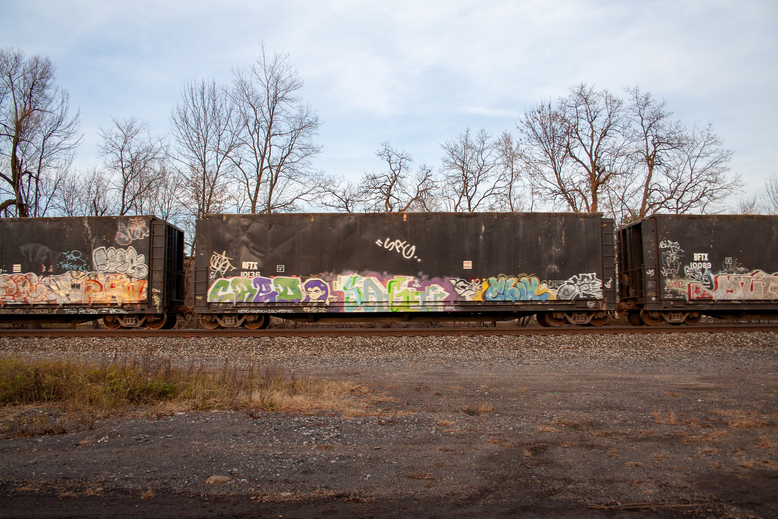 BFTX 10136