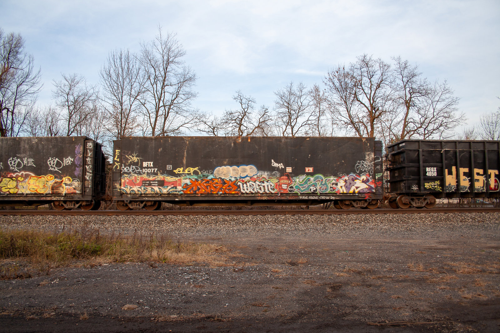 BFTX 10077