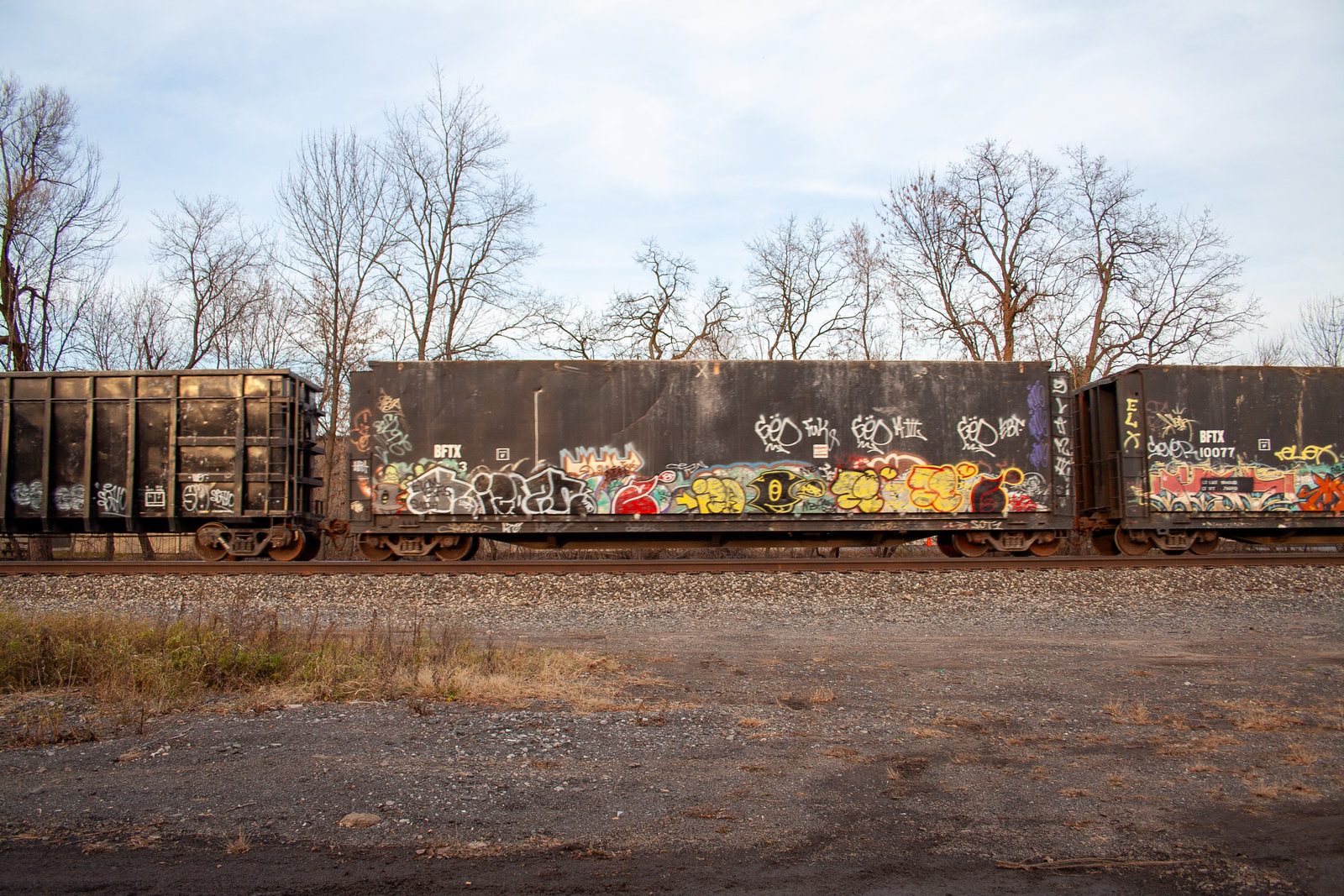 BFTX 10063