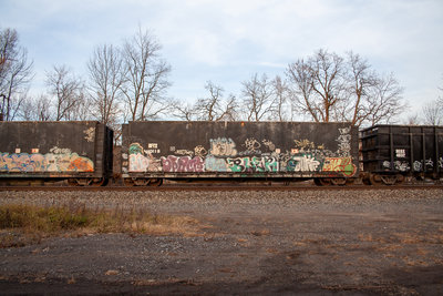BFTX 10118
