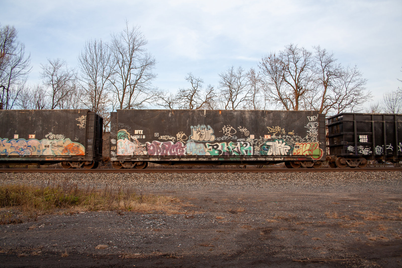 BFTX 10118