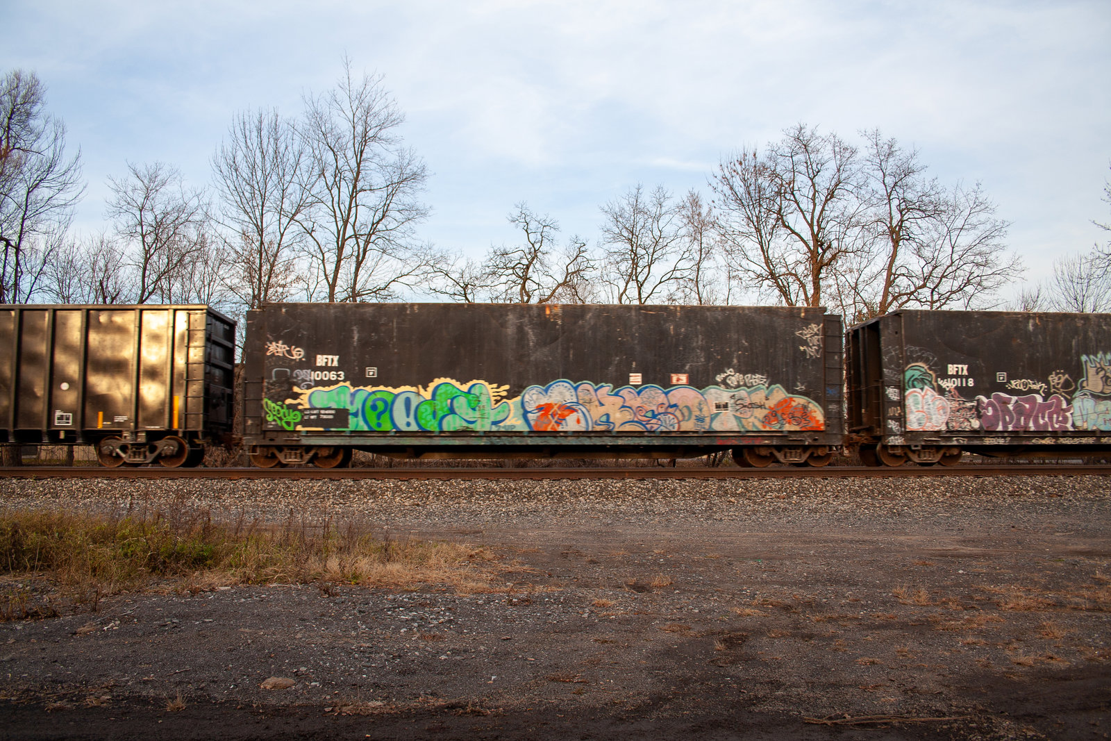 BFTX 10063