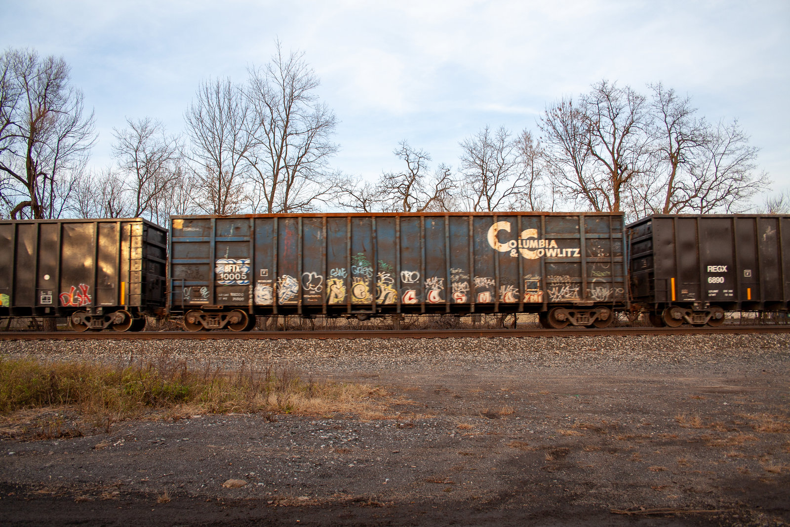 BFTX 10005