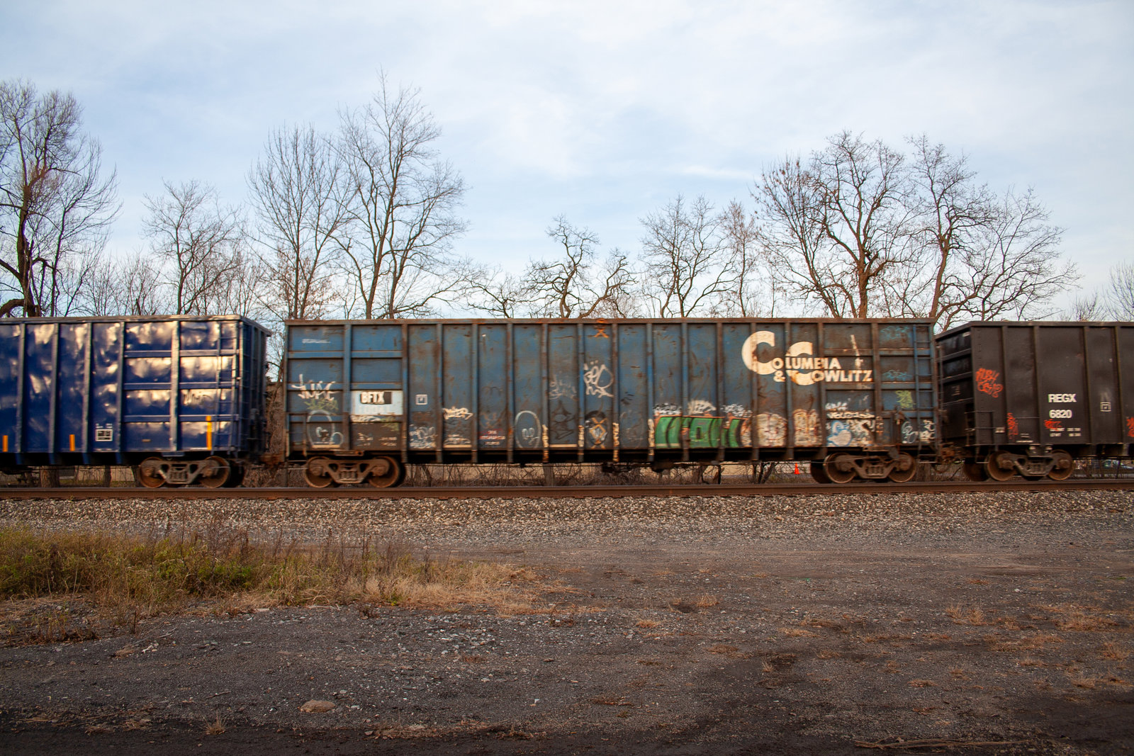 BFTX 10041