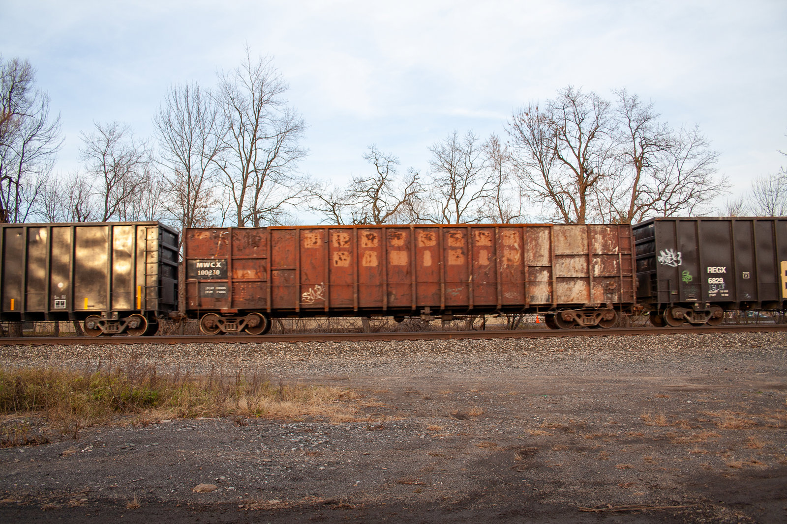 MWCX 100230